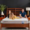 TEMPUR-PEDIC Cloud Prima Medium-Soft Mattress, Luxury Cooling Memory Foam Layers, Queen, Made in USA, 10 Year Warranty.(California King)