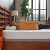TEMPUR-PEDIC Cloud Prima Medium-Soft Mattress, Luxury Cooling Memory Foam Layers, Queen, Made in USA, 10 Year Warranty.(Split California King)