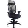 Tempur-Pedic 6450 Mesh Computer and Desk Chair(Authentic Tempur Material)