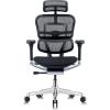 Tempur-Pedic Ergohuman GEN2 Hi Back Ergonomic Office Chair Seat, Synchro-Tilt, Adjustable Headrest, Arm Height Adjustment, Black(Black)