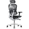 Tempur-Pedic Ergohuman GEN2 Hi Back Ergonomic Office Chair Seat, Synchro-Tilt, Adjustable Headrest, Arm Height Adjustment, Black(Black)
