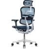 Tempur-Pedic Ergohuman GEN2 Hi Back Ergonomic Office Chair Seat, Synchro-Tilt, Adjustable Headrest, Arm Height Adjustment, Black(Blue)