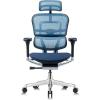 Tempur-Pedic Ergohuman GEN2 Hi Back Ergonomic Office Chair Seat, Synchro-Tilt, Adjustable Headrest, Arm Height Adjustment, Black(Blue)