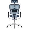 Tempur-Pedic Ergohuman GEN2 Hi Back Ergonomic Office Chair Seat, Synchro-Tilt, Adjustable Headrest, Arm Height Adjustment, Black(Blue)