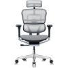 Tempur-Pedic Ergohuman GEN2 Hi Back Ergonomic Office Chair Seat, Synchro-Tilt, Adjustable Headrest, Arm Height Adjustment, Black(Grey)