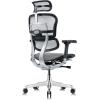 Tempur-Pedic Ergohuman GEN2 Hi Back Ergonomic Office Chair Seat, Synchro-Tilt, Adjustable Headrest, Arm Height Adjustment, Black(Grey)
