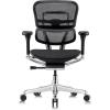 Tempur-Pedic Ergohuman GEN2 Mid Back Ergonomic Office Chair Seat, Adjustable Arms, Seat Height, Tilt Lock and Lumbar Support, Mesh Back, Blue(Black)