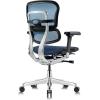Tempur-Pedic Ergohuman GEN2 Mid Back Ergonomic Office Chair Seat, Adjustable Arms, Seat Height, Tilt Lock and Lumbar Support, Mesh Back, Blue(Blue)