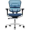Tempur-Pedic Ergohuman GEN2 Mid Back Ergonomic Office Chair Seat, Adjustable Arms, Seat Height, Tilt Lock and Lumbar Support, Mesh Back, Blue(Blue)