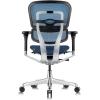 Tempur-Pedic Ergohuman GEN2 Mid Back Ergonomic Office Chair Seat, Adjustable Arms, Seat Height, Tilt Lock and Lumbar Support, Mesh Back, Blue(Blue)