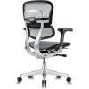 Tempur-Pedic Ergohuman GEN2 Mid Back Ergonomic Office Chair Seat, Adjustable Arms, Seat Height, Tilt Lock and Lumbar Support, Mesh Back, Blue(Grey)