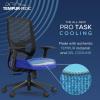 Tempur-Pedic ProTask Executive Task Office Chair with Mesh Back and Built-in Lumbar Support, Height-Adjustable Ergonomic Mesh Office Desk Chair, Grey(Black)