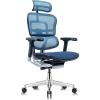 Tempur-Pedic Ergohuman GEN2 Hi Back Ergonomic Office Chair Seat, Synchro-Tilt, Adjustable Headrest, Arm Height Adjustment, Black(Blue)