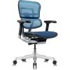 Tempur-Pedic Ergohuman GEN2 Mid Back Ergonomic Office Chair Seat, Adjustable Arms, Seat Height, Tilt Lock and Lumbar Support, Mesh Back, Blue(Blue)