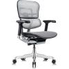 Tempur-Pedic Ergohuman GEN2 Mid Back Ergonomic Office Chair Seat, Adjustable Arms, Seat Height, Tilt Lock and Lumbar Support, Mesh Back, Blue(Grey)
