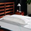 Tempur-Pedic TEMPUR-Body Pillow, Queen(Pillow)