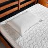 Tempur-Pedic TEMPUR-Protect Pillow Protector, Queen – 28.5″ x 20″, White(King)